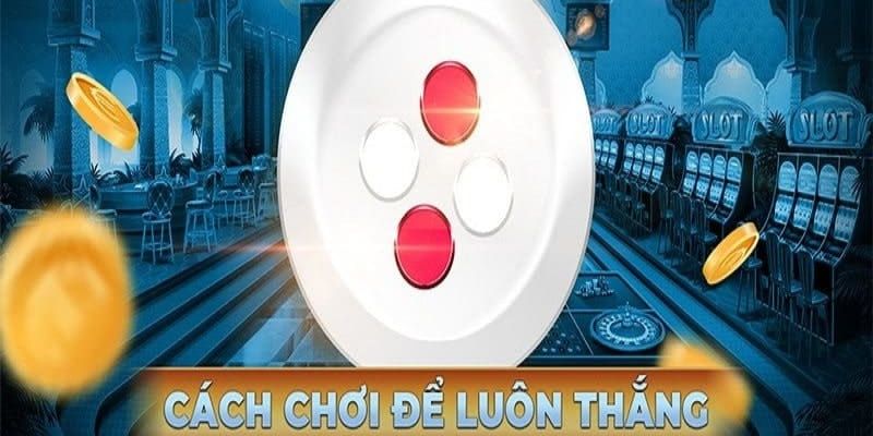 Giới thiệu về cách đánh xóc đĩa xanh chín